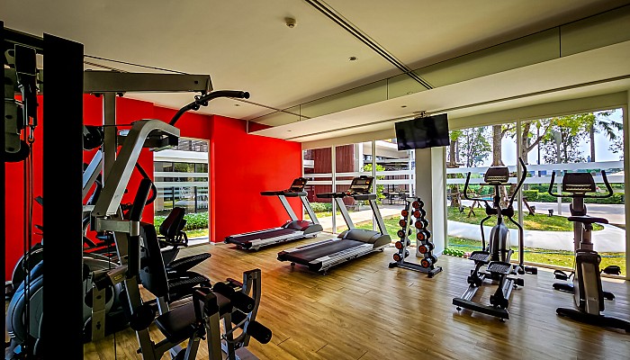 Fitness